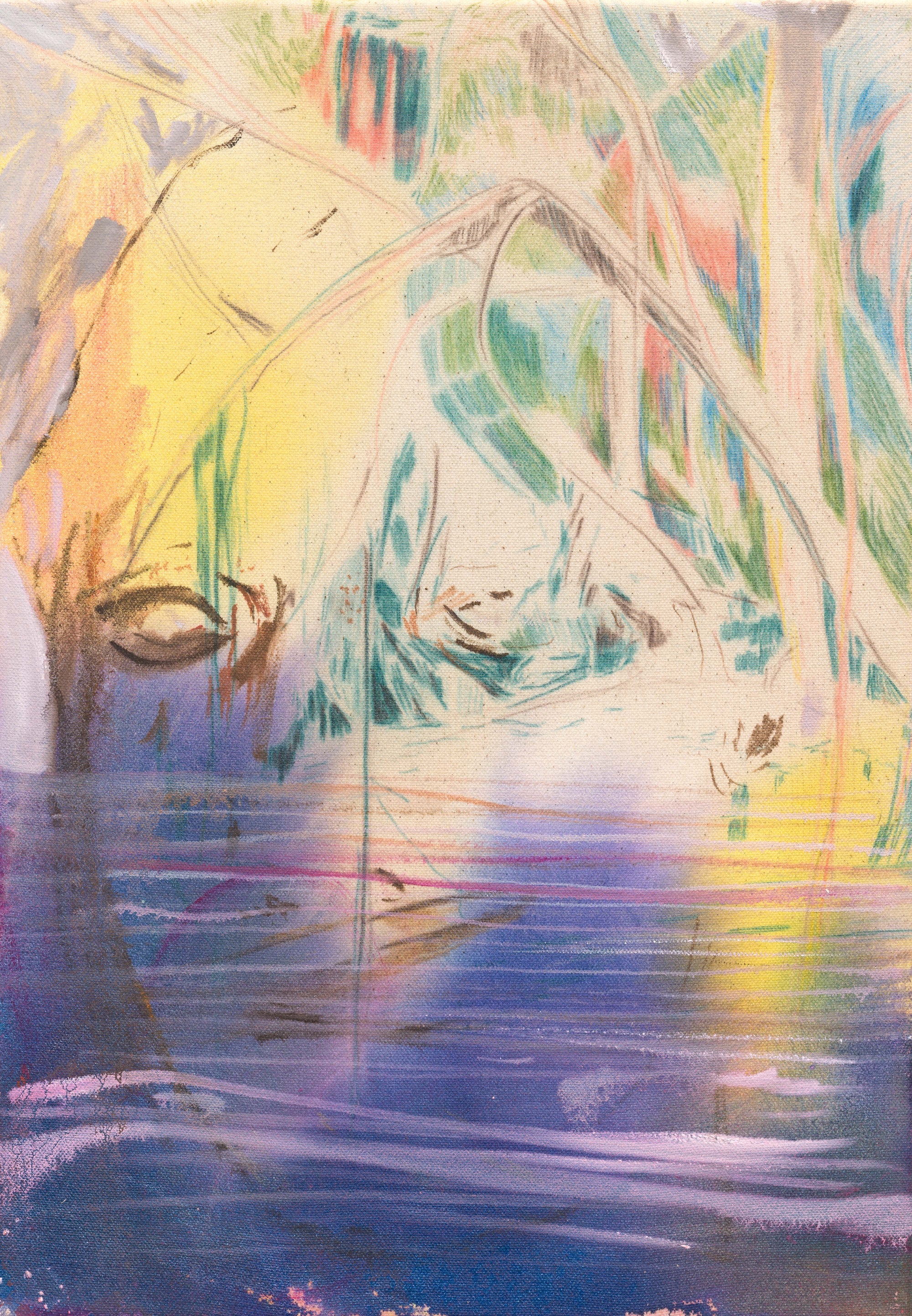 Eyes Above Water (50 x 35 cm)